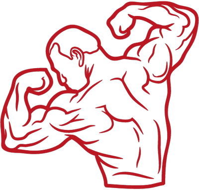 Musculation Vitality